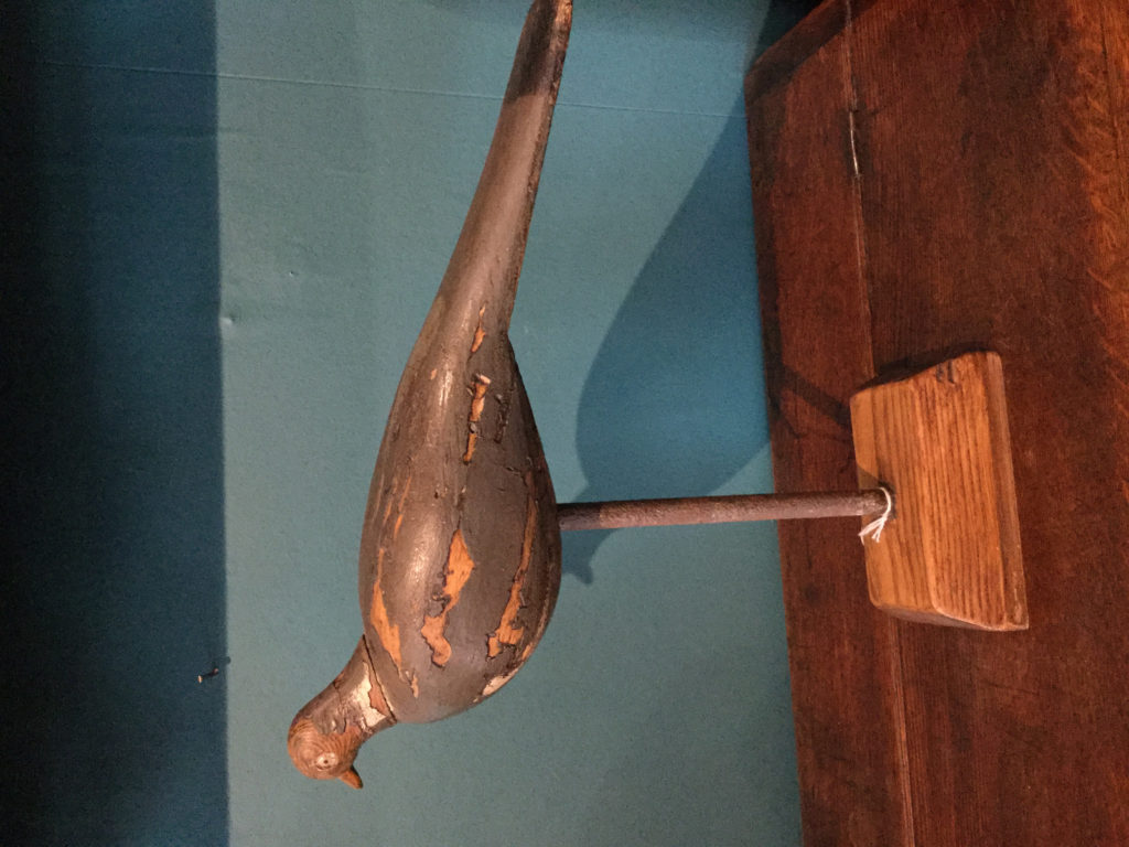 Decoy pigeon #5