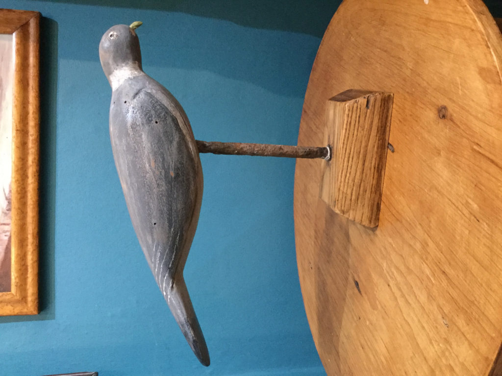 Decoy pigeon #6