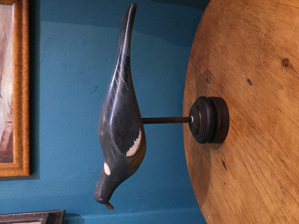 Decoy pigeon #3