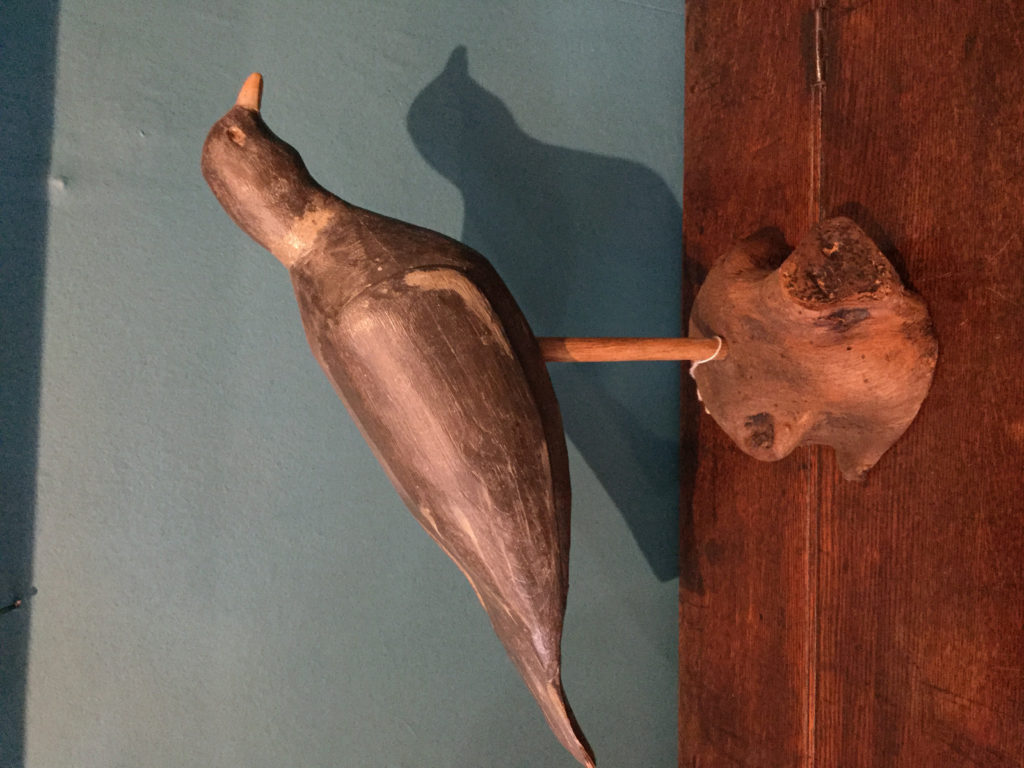 Decoy pigeon #7