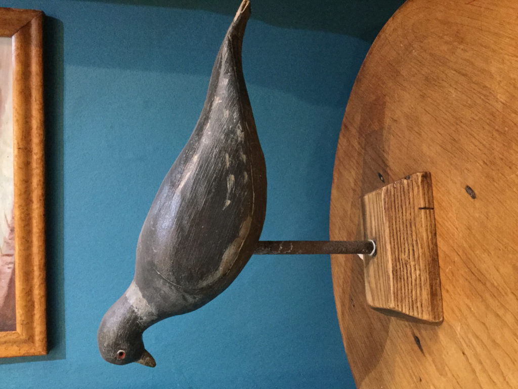 Decoy pigeon #4
