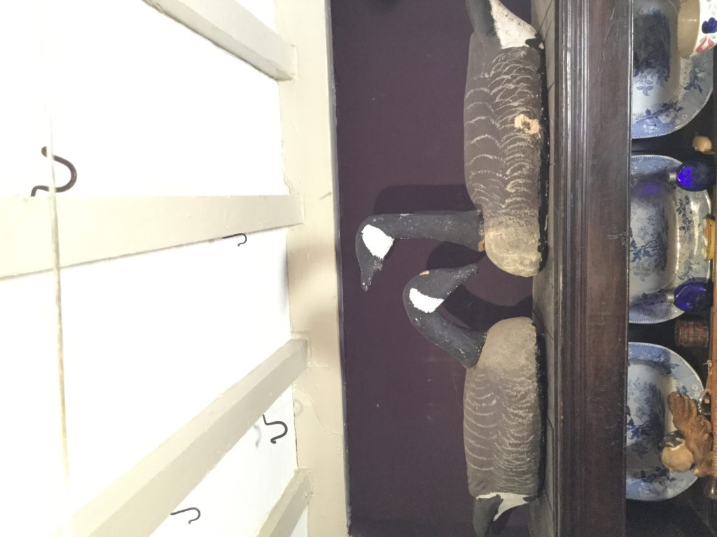 Decoy geese